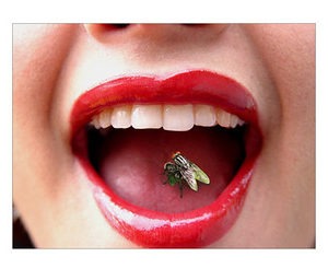 Refranes populares – “En boca cerrada no entran moscas”